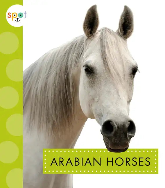 Arabian Horses - Paperback