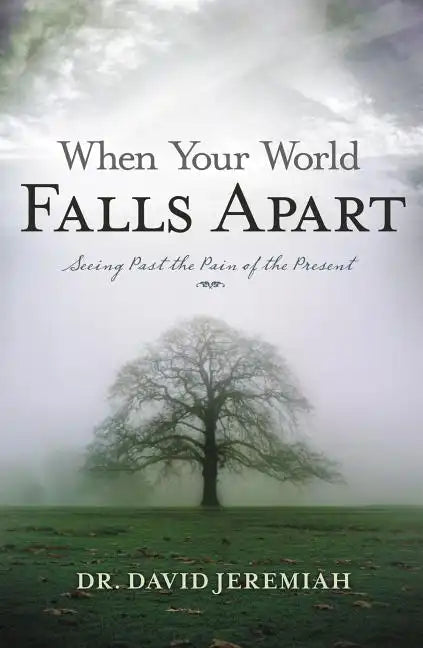 When Your World Falls Apart: See Past the Pain of the Present - Paperback