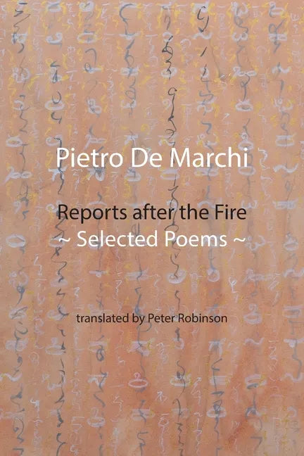 Reports after the Fire: Selected Poems - Paperback