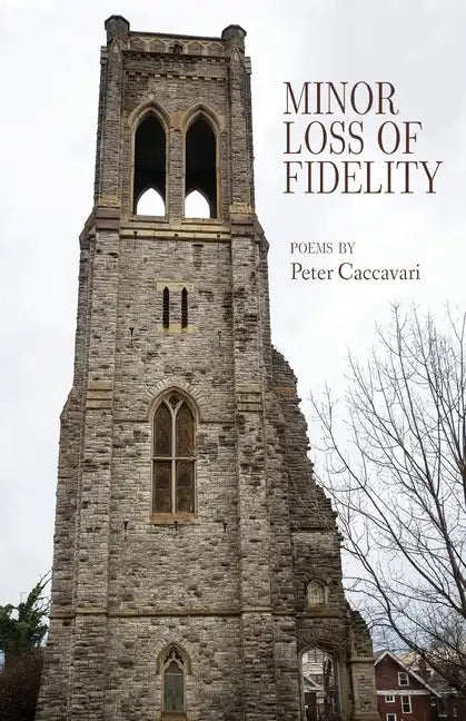Minor Loss of Fidelity - Paperback