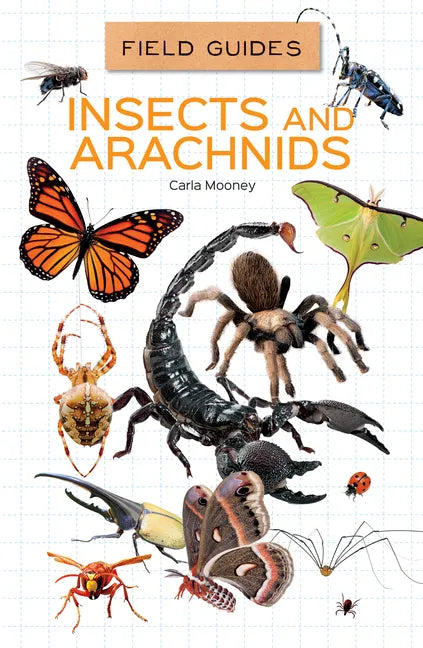 Insects and Arachnids - Library Binding