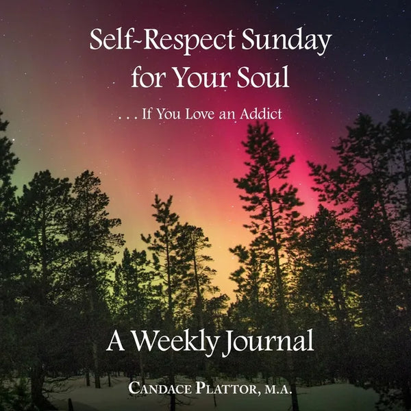 Self-Respect Sunday for Your Soul . . . If You Love an Addict: A Weekly Journal - Paperback