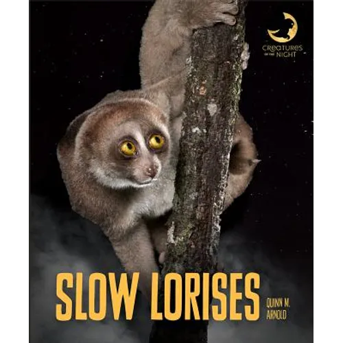 Slow Lorises - Library Binding