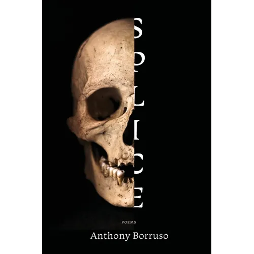 Splice - Paperback