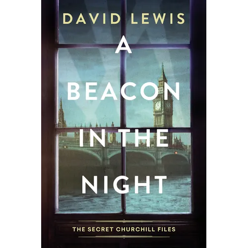 A Beacon in the Night - Hardcover