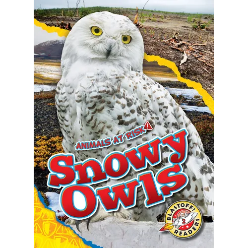 Snowy Owls - Library Binding