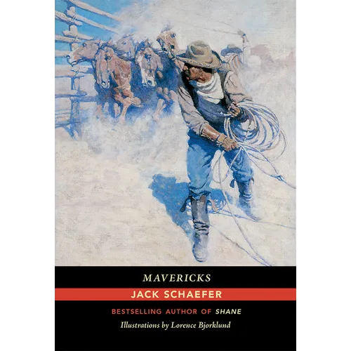 Mavericks - Paperback
