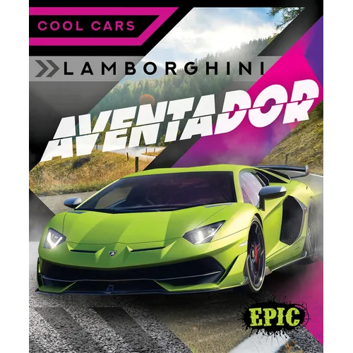 Lamborghini Aventador - Library Binding