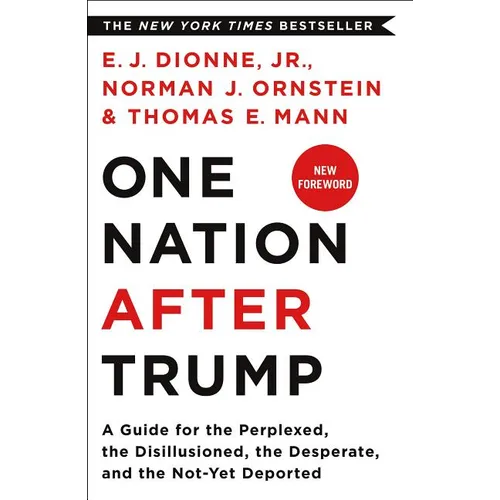 One Nation After Trump: A Guide for the Perplexed, the Disillusioned, the Desperate, and the Not-Yet Deported - Paperback