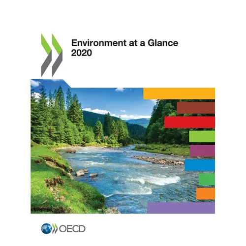 Environment at a Glance 2020 - Paperback