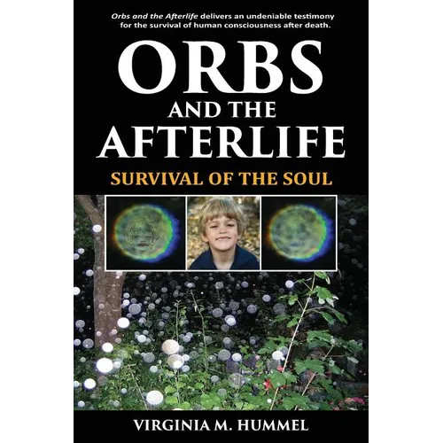 Orbs and the Afterlife: Survival of the Soul - Paperback