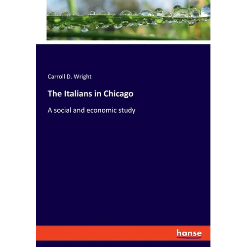 The Italians in Chicago: A social and economic study - Paperback