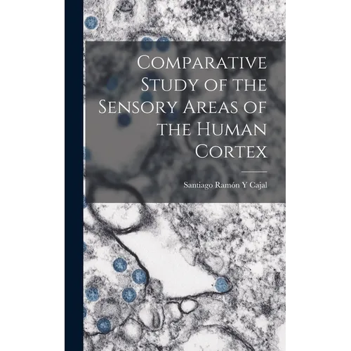 Comparative Study of the Sensory Areas of the Human Cortex - Hardcover