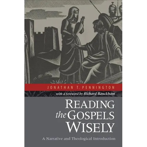 Reading the Gospels Wisely: A Narrative and Theological Introduction - Paperback