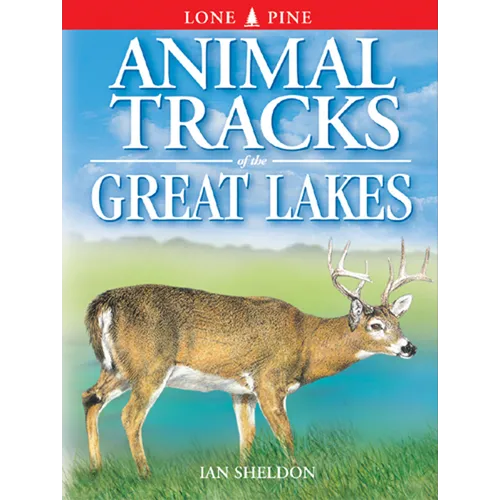 Animal Tracks of the Great Lakes - Paperback