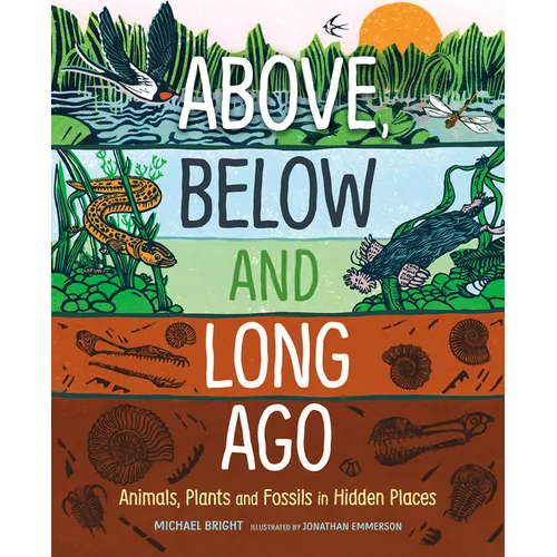Above, Below and Long Ago: Animals, Plants and Fossils in Hidden Places - Hardcover