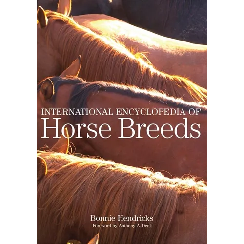 International Encyclopedia of Horse Breeds - Paperback
