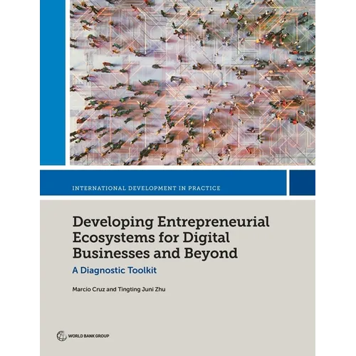 Developing Entrepreneurial Ecosystems for Digital Businesses and Beyond: A Diagnostic Toolkit - Paperback