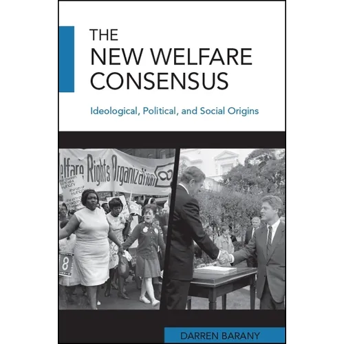 The New Welfare Consensus: Ideological, Political, and Social Origins - Paperback