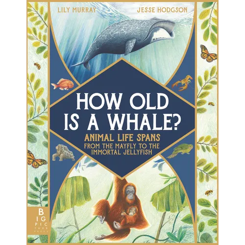 How Old Is a Whale?: Animal Life Spans from the Mayfly to the Immortal Jellyfish - Hardcover