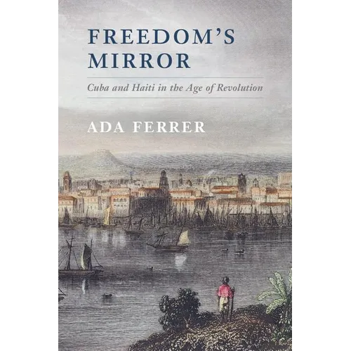 Freedom's Mirror - Paperback