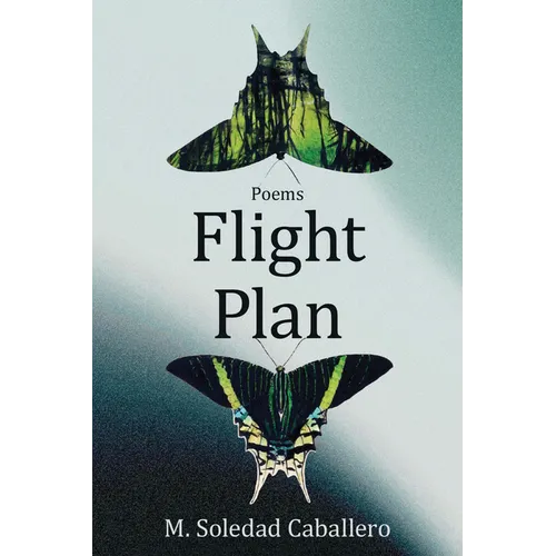 Flight Plan: Poems - Paperback