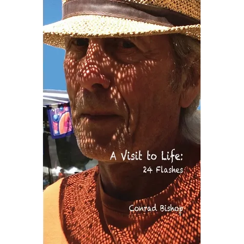 A Visit to Life: 24 Flashes - Paperback