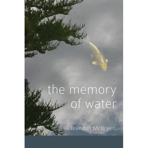 The Memory of Water - Paperback