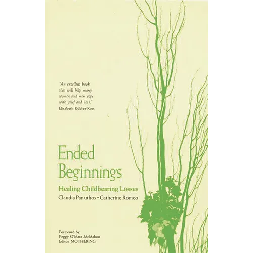 Ended Beginnings: Healing Childbearing Losses - Paperback