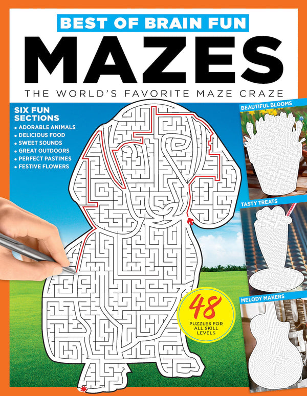 Brain Fun - Mazes: 48 Puzzles For All Skill Levels, Six Sections: Colorful Creatures, Tasty Treats, Soothing Sights, Cruise Control, Great Escapes, Magic Media