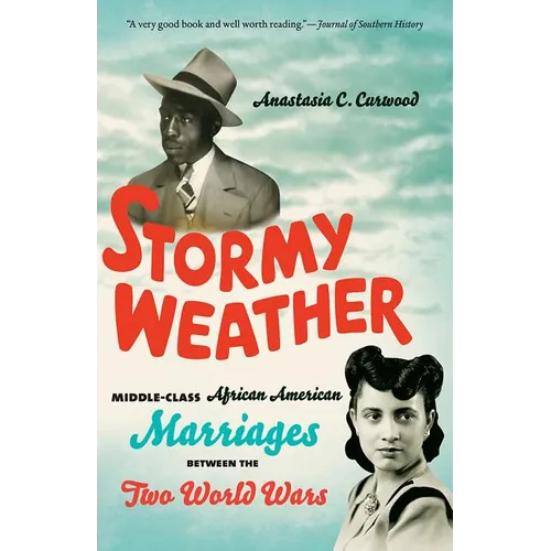 Stormy Weather: Middle-Class African American Marriages between the Two World Wars - Paperback