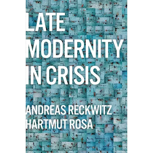 Late Modernity in Crisis: Why We Need a Theory of Society - Hardcover