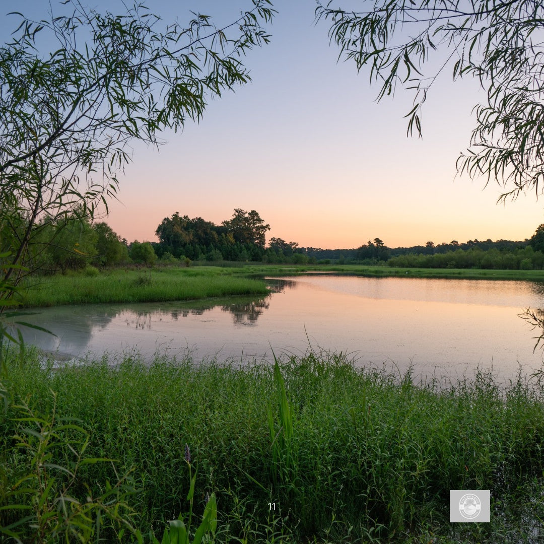 The Power of Forgiveness