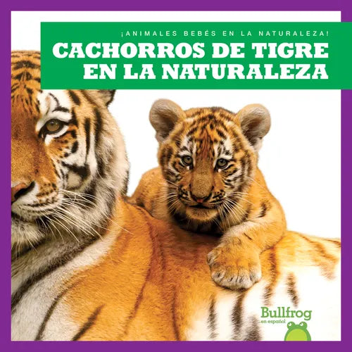 Cachorros de Tigre En La Naturaleza (Tiger Cubs in the Wild) - Paperback