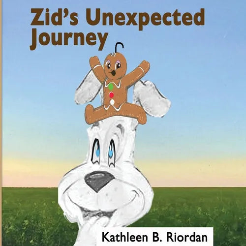 Zid's Unexpected Journey - Paperback