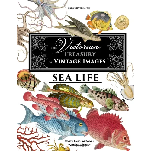 The Victorian Treasury of Vintage Images - Sea Life - Paperback