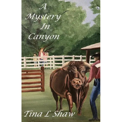 A Mystery In Canyon - Paperback