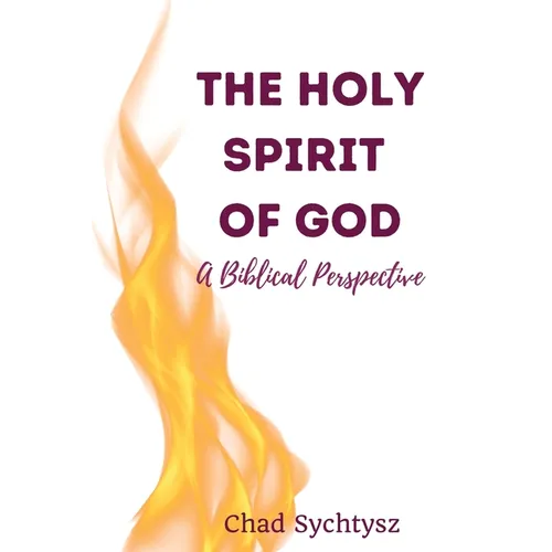 The Holy Spirit of God: A Biblical Perspective - Paperback