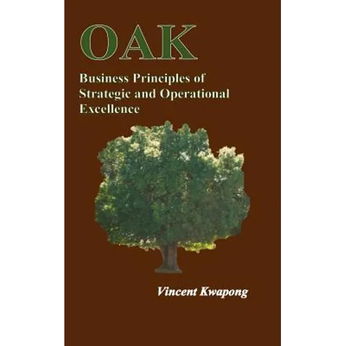 Business Principles of Strategic & Operational Excellence - Paperback