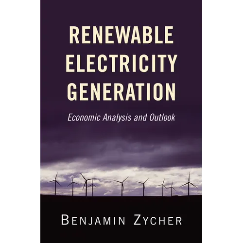 Renewable Electricity Generation: Economic Analysis and Outlook - Paperback