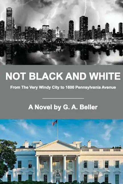 Not Black and White: From The Very Windy City to 1600 Pennsylvania Avenue - Paperback