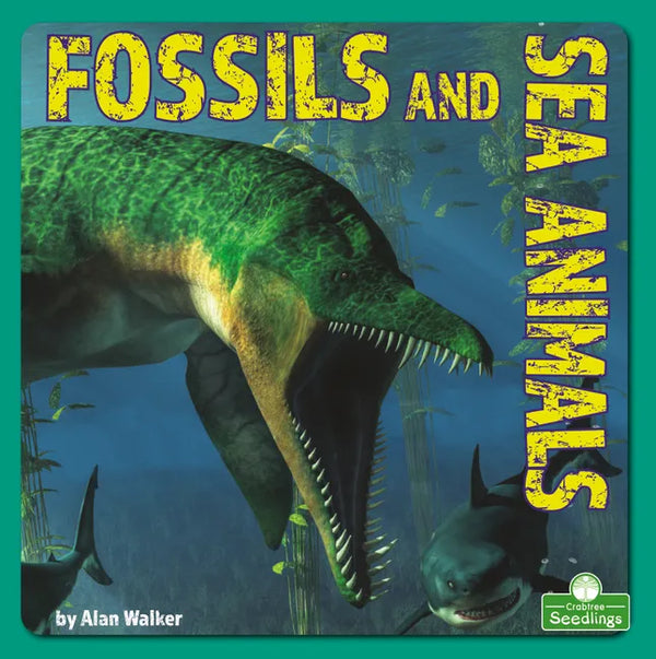 Fossils and Sea Animals - Paperback