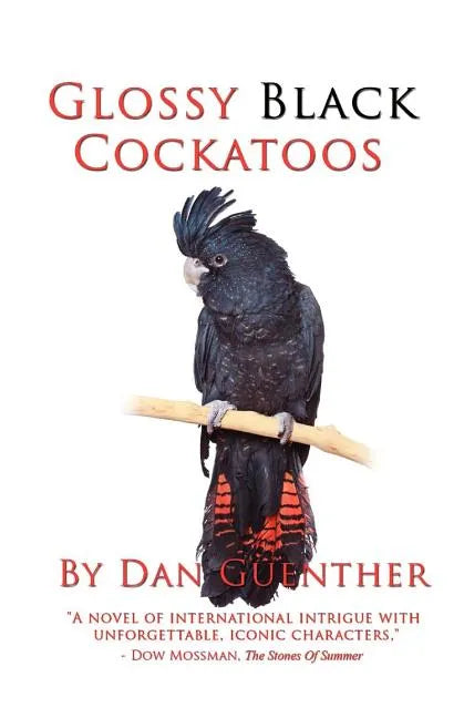 Glossy Black Cockatoos - Paperback