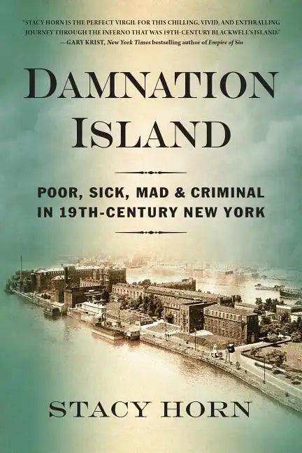 Damnation Island: Poor, Sick, Mad, and Criminal in 19th-Century New York - Paperback