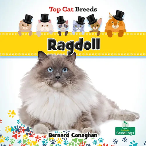 Ragdoll - Paperback