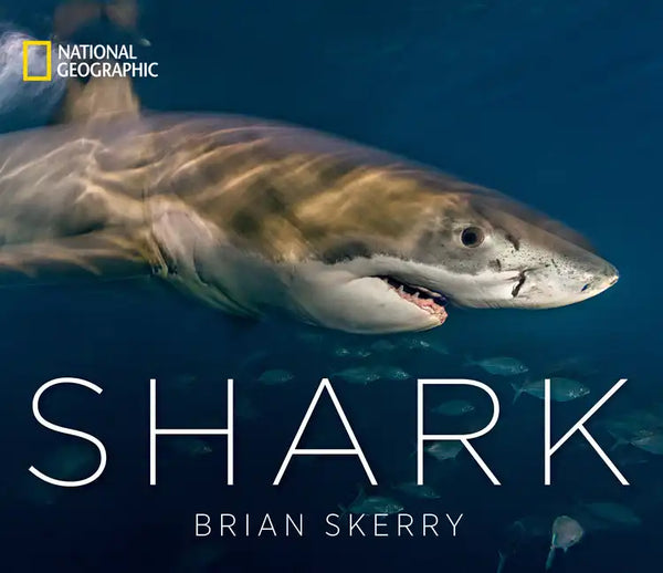 Shark - Hardcover