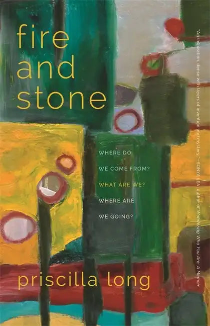 Fire and Stone: Where Do We Come From? What Are We? Where Are We Going? - Paperback