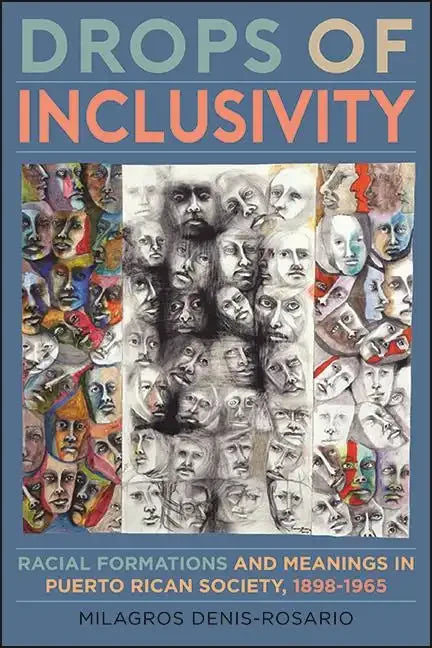 Drops of Inclusivity: Racial Formations and Meanings in Puerto Rican Society, 1898-1965 - Paperback