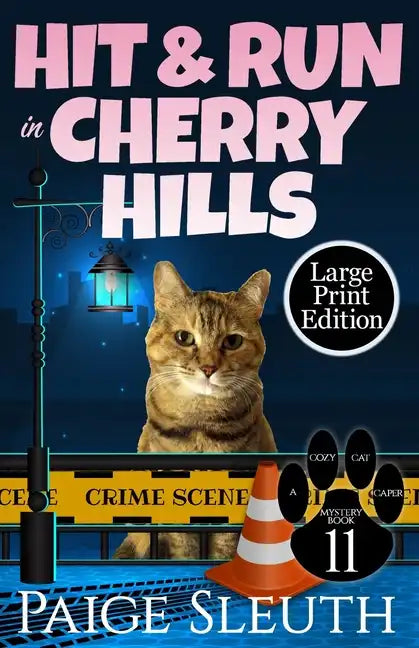 Hit and Run in Cherry Hills - Paperback