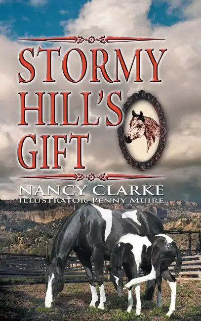 Stormy Hill's Gift - Hardcover